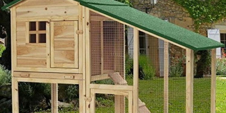 Quelle surface de terrain pour 2 poules ?