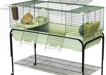 Quelle cage pour 2 Cochon-dinde ?