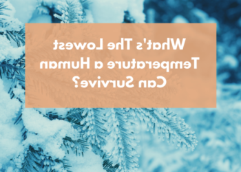 Quelle est la température corporelle si une personne a de la fièvre du Covid 19 ?