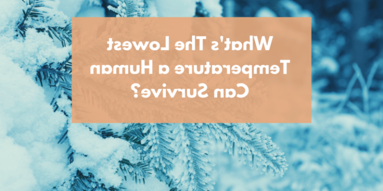 Quelle est la température corporelle si une personne a de la fièvre du Covid 19 ?