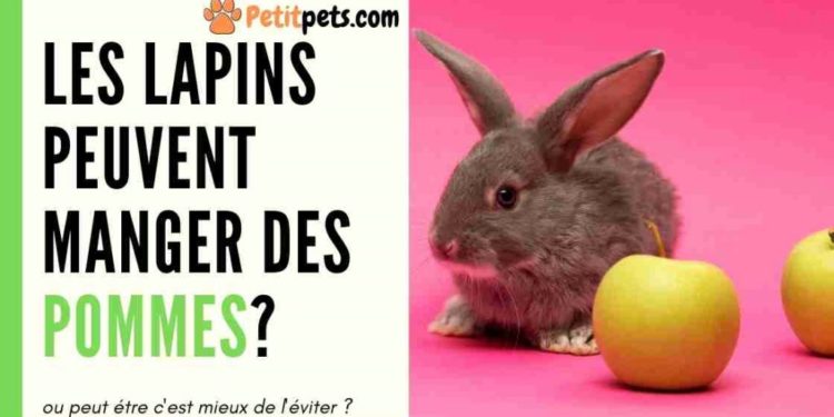 Est-ce que les lapins peuvent manger de la banane ?