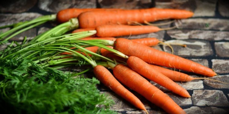 Quels sont les bienfaits des carottes rapées ?
