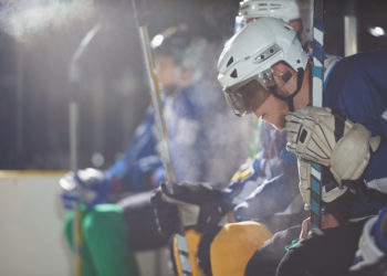 Qu'est-ce qui caractérise un oiseau ?