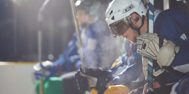 Qu'est-ce qui caractérise un oiseau ?