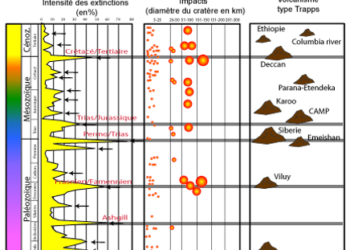 Quelles sont les plus grandes crises biologiques ?