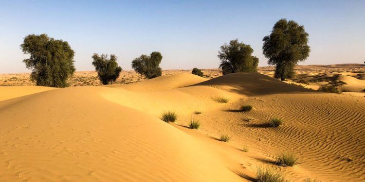 Comment s'appellent les gens qui vivent dans le désert ?