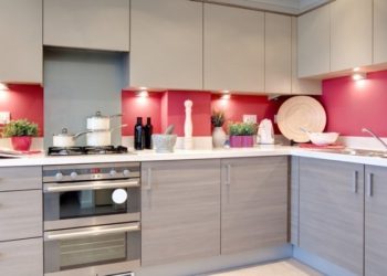 Quelle est la plus belle couleur pour un chat ?