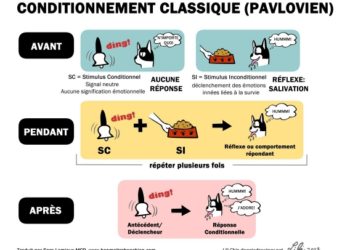 Comment se fait l'apprentissage dans le conditionnement classique ?