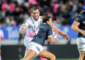 Quel est le plus gros molosse ?