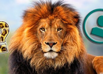 Quel animal ne sort jamais ?