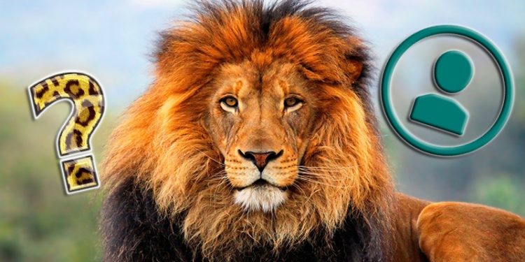 Quel animal ne sort jamais ?