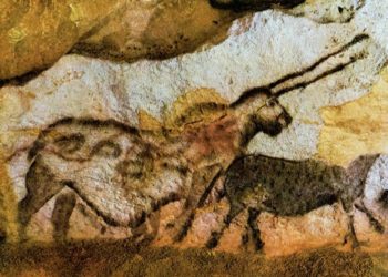 Quels sont les animaux représentés dans la grotte de Chauvet ?