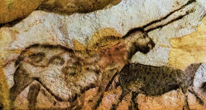 Quels sont les animaux représentés dans la grotte de Chauvet ?