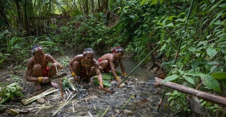 Qui vit dans la forêt amazonienne ?