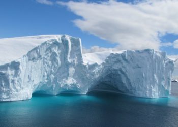 Qui vit dans l'Antarctique ?