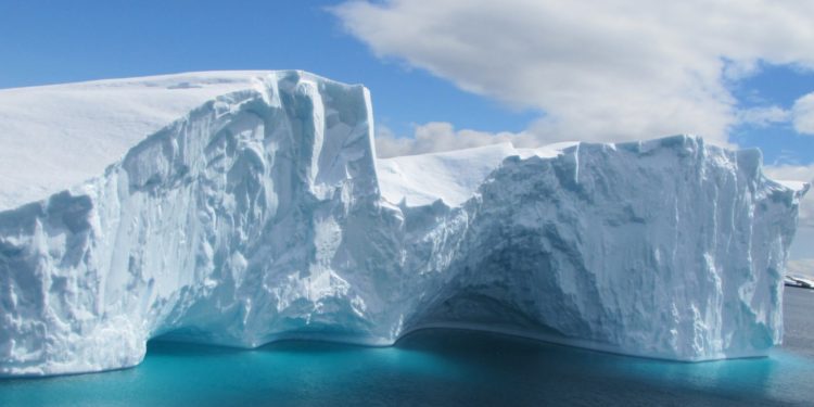 Qui vit dans l'Antarctique ?