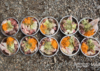 Quelle quantité mange un moineau par jour ?