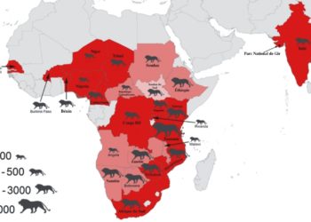 Où vivent les tigres et les lions ?