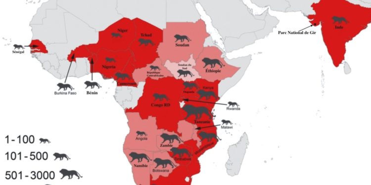 Où vivent les tigres et les lions ?