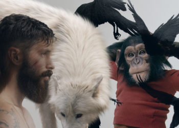 Quel est l'animal le plus intelligent ?