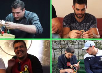 Quel est le primate le plus intelligent ?