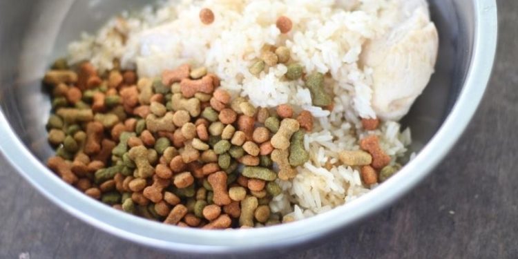 Quelle quantité de riz pour chien ?