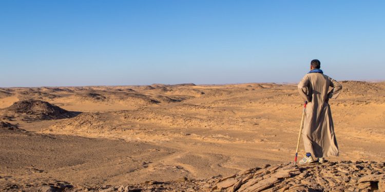 Qui vit dans le désert ?