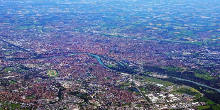 Où vivent les suricates ?