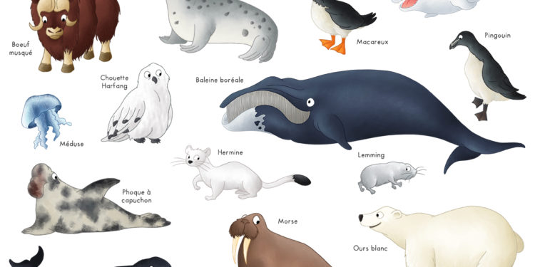 Quels sont les animaux qui vivent au Pôle Sud ?