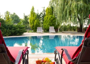 Quel animal chez soi ?