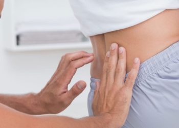 Quels sont les différents groupes d'animaux ?