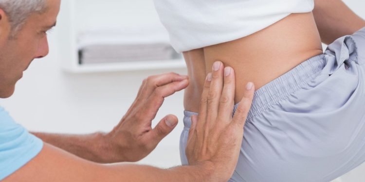 Quels sont les différents groupes d'animaux ?