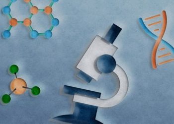 Qu'est-ce que le Meloxidyl ?