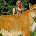 Est-ce que un humain peut se reproduire avec un animal ?