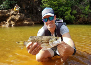 Quels sont les carnassiers d'eau douce ?