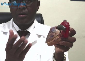 Qu'est-ce qui provoque une pneumonie ?