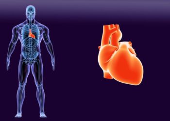 Qu'est-ce qui provoque un souffle au cœur ?