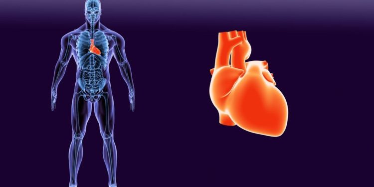 Qu'est-ce qui provoque un souffle au cœur ?