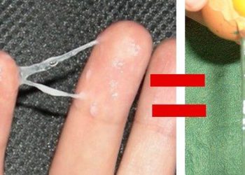 Comment sont les glaires après ovulation si enceinte ?