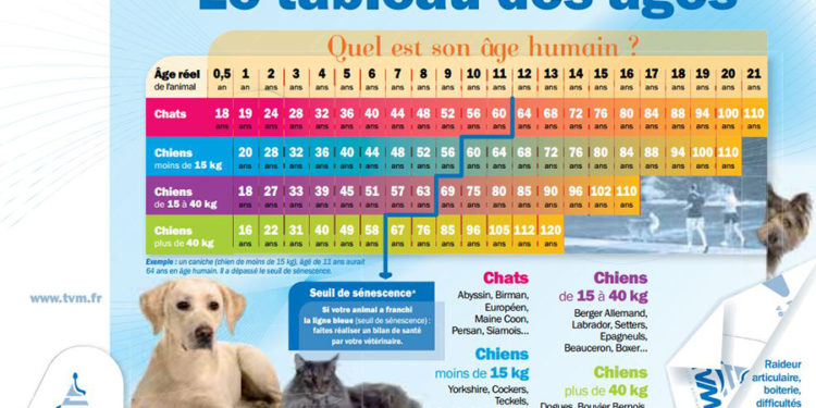 Quel est l'âge maximum d'un chien ?