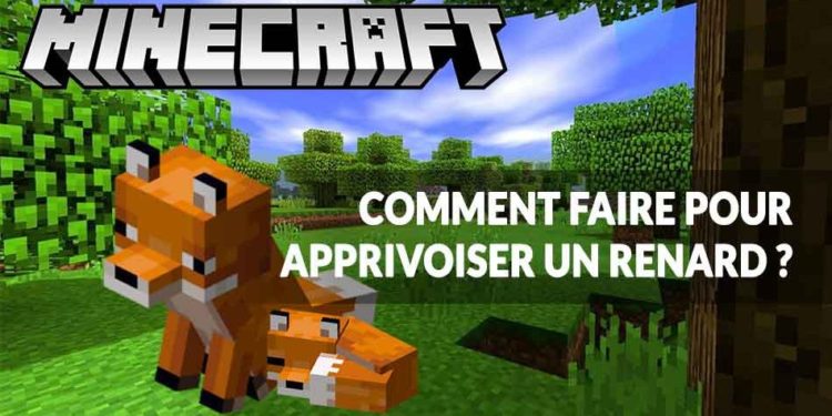 Comment avoir des renards dans Minecraft ?