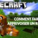 Comment avoir des renards dans Minecraft ?