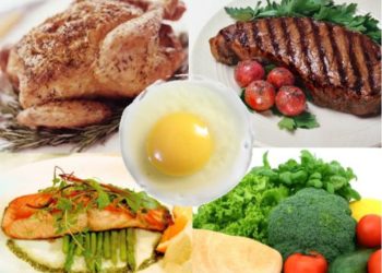 Quel est le régime alimentaire des dinosaures ?