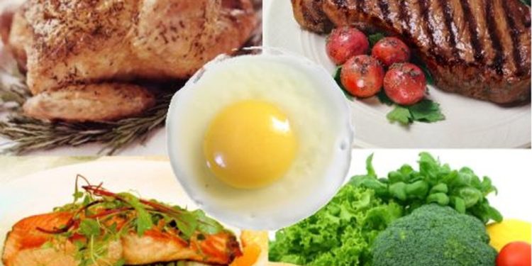 Quel est le régime alimentaire des dinosaures ?