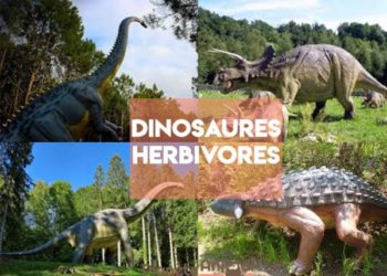 Quels sont les dinosaures omnivores ?