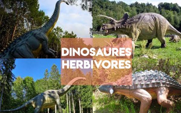 Quels sont les dinosaures omnivores ?