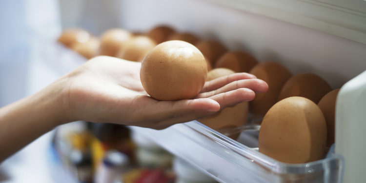 Comment reconnaître un œuf de serpent ?