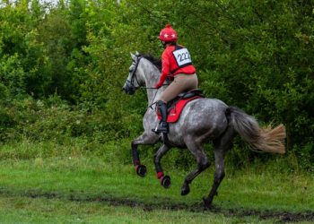 Comment calmer un cheval chaud en balade ?