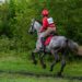 Comment calmer un cheval chaud en balade ?
