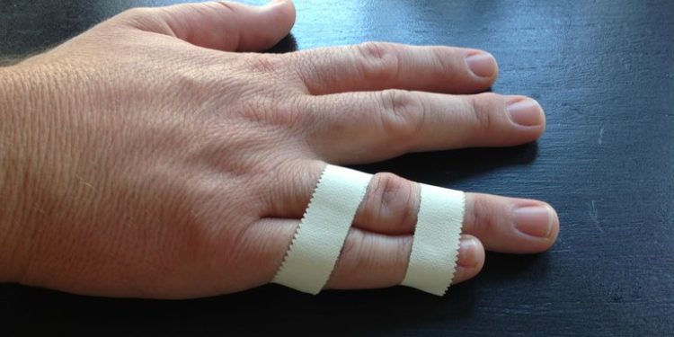 Quel mammifère marché sur un seul doigt ?